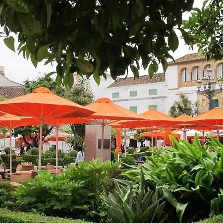 The Farm * 马尔韦利亚